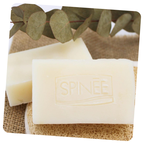 Institut Pure et Nature - Le Sourd - 02